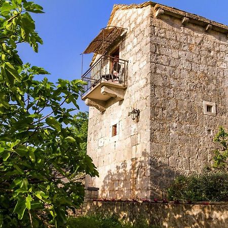 Old Small Stone House Zrnovo Dış mekan fotoğraf