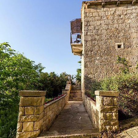Old Small Stone House Zrnovo Dış mekan fotoğraf