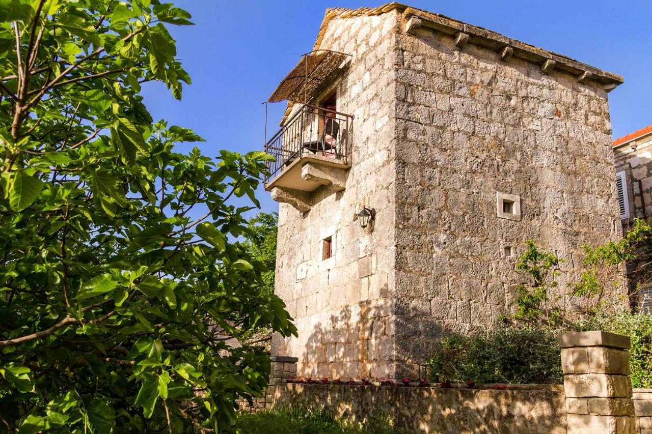 Old Small Stone House Zrnovo Dış mekan fotoğraf