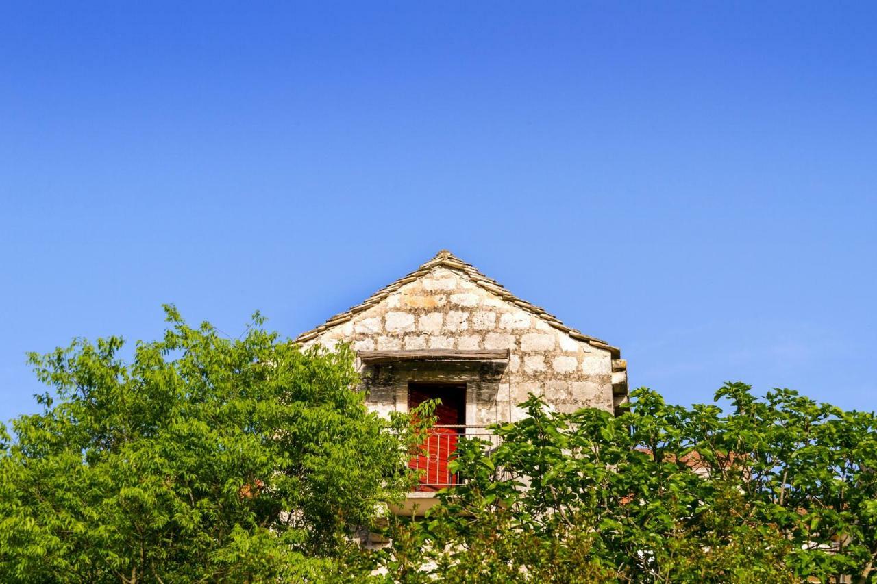 Old Small Stone House Zrnovo Dış mekan fotoğraf