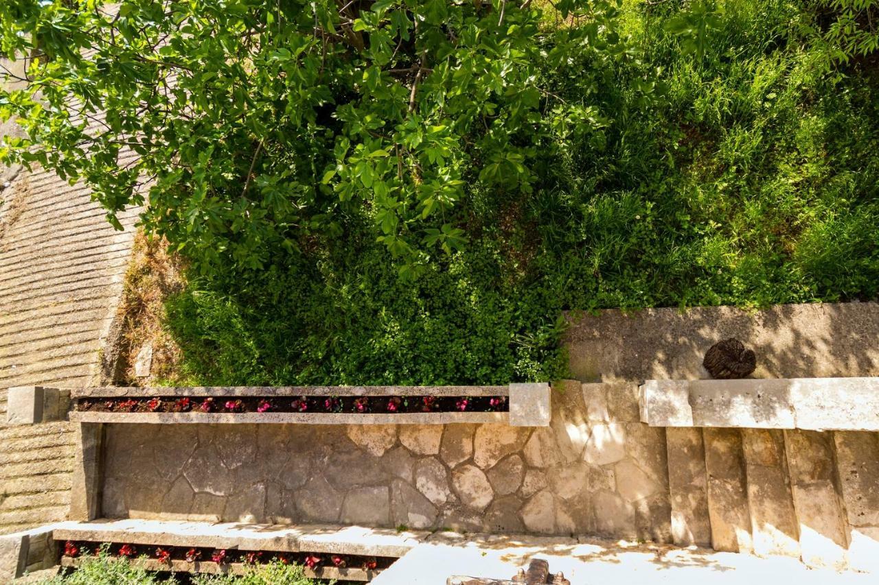 Old Small Stone House Zrnovo Dış mekan fotoğraf
